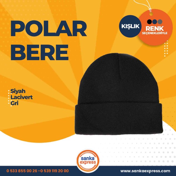 Polar Bere